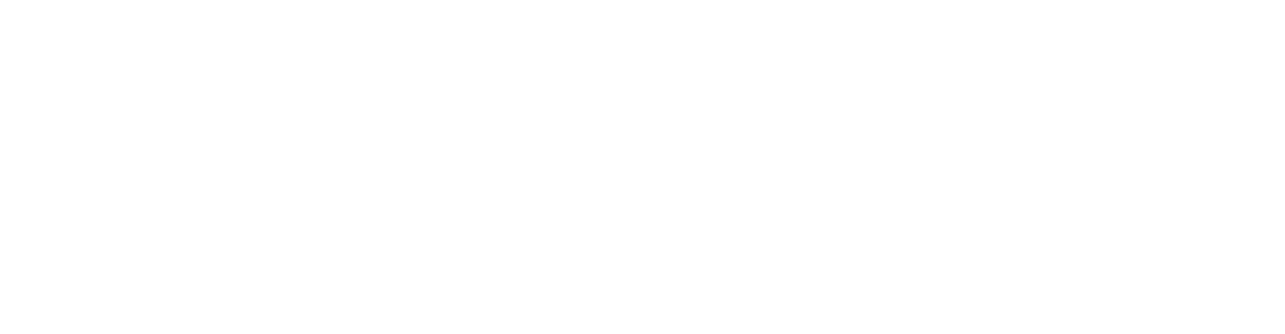 Network Data Services