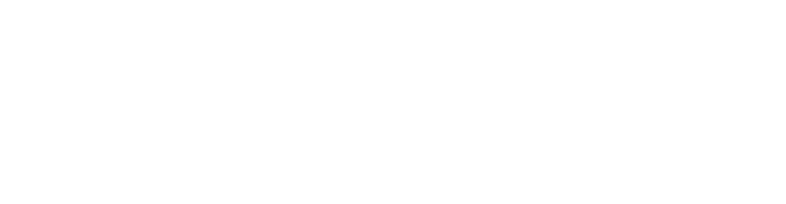 Network Data Services logo